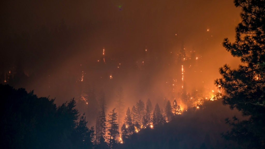 L'incendie de forêt menace la qualité de l'air intérieur