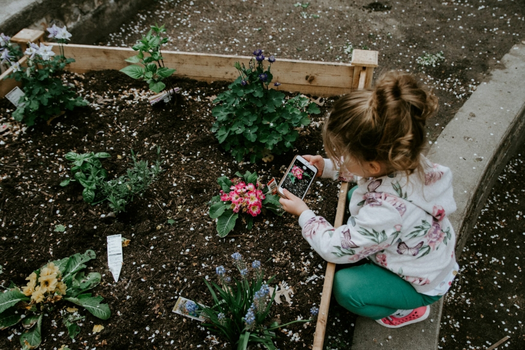 potager et pollution du sol